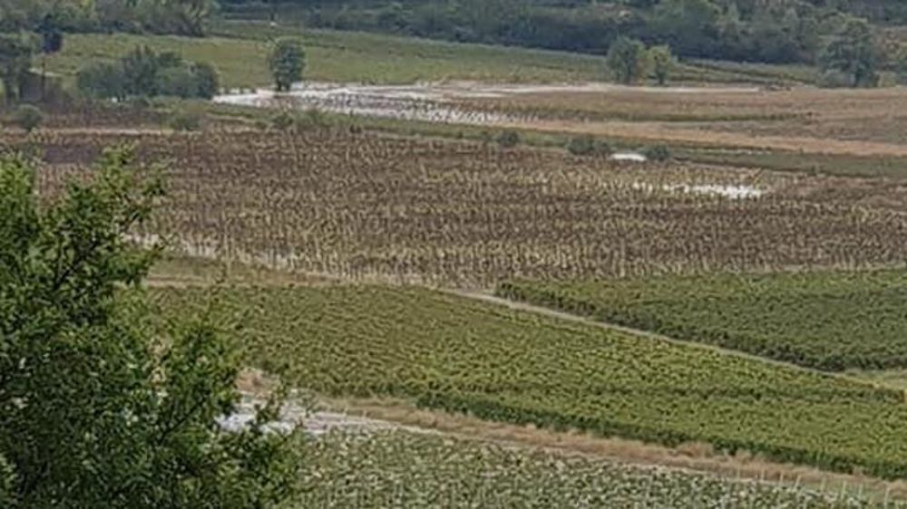 Inondation de vignes dans l’Aude le 15 octobre 2018. © Twitter